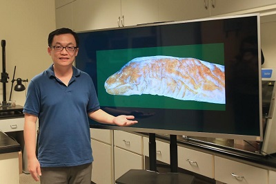 消失的魚眼睛！　中山大學發現無眼魚獲Science報導1